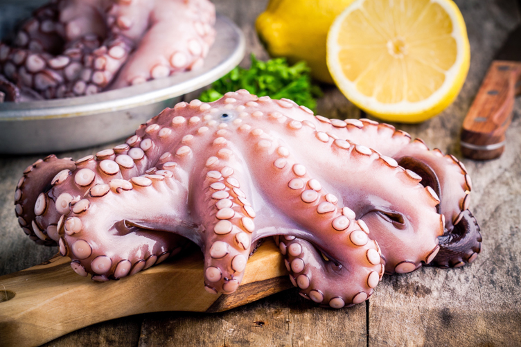 Fresh Squid